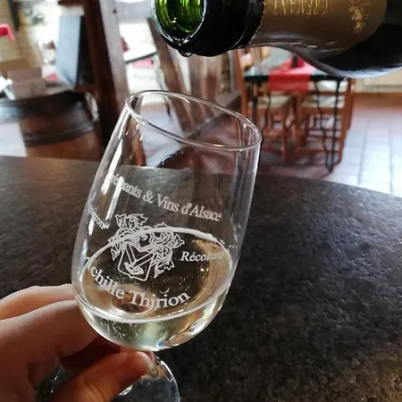 Thirion Nocleg ze śniadaniem Saint-Hippolyte (Haut-Rhin)