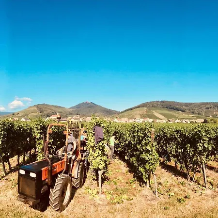 Nocleg ze śniadaniem Thirion